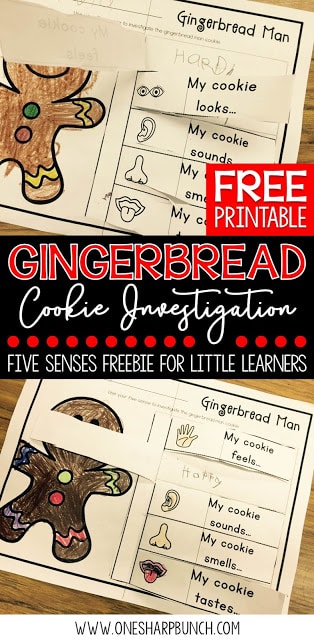 Investigate gingerbread cookies using this FREE gingerbread man five senses activity... perfect for Christmas in the classroom! Also great for practicing adjectives!