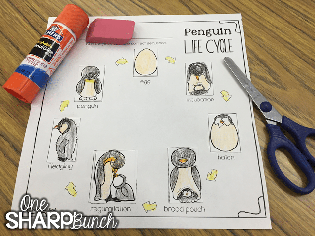 This post has so many integrated penguin activities, covering each content area, as well as penguin crafts to display the students’ learning! Grab the FREE penguin blubber experiment printable to use with your Kindergarten and primary students!
