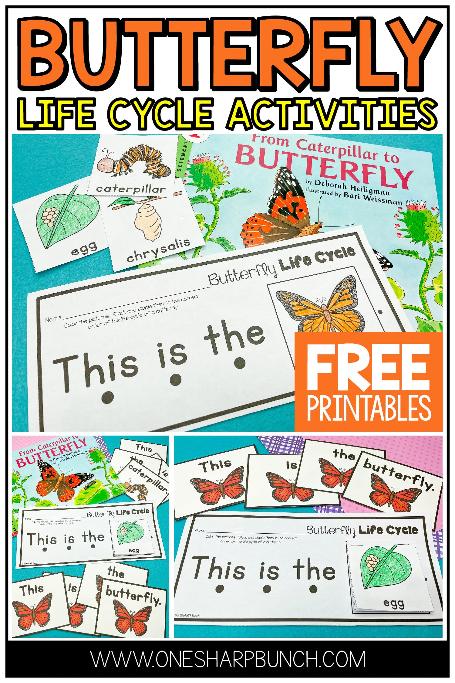 Teach your Preschool and Kindergarten students all about the life cycle of a butterfly with this butterfly life cycle poem, butterfly craft and FREE butterfly life cycle sequence strips! These interactive spring activities are the perfect way to explore how butterflies change and grow!
