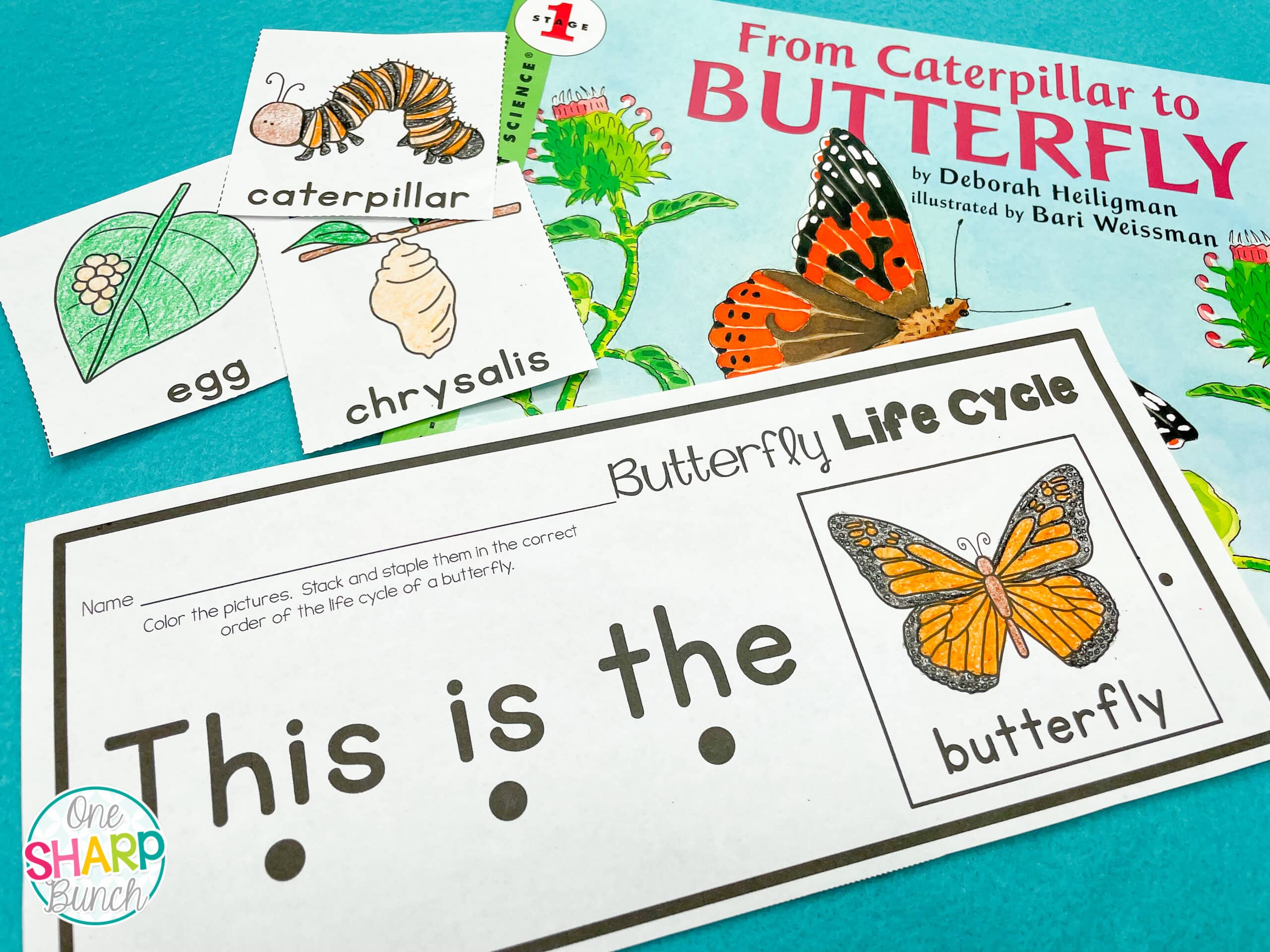 Teach your Preschool and Kindergarten students all about the life cycle of a butterfly with this butterfly life cycle poem, butterfly craft and FREE butterfly life cycle sequence strips! These interactive spring activities are the perfect way to explore how butterflies change and grow!