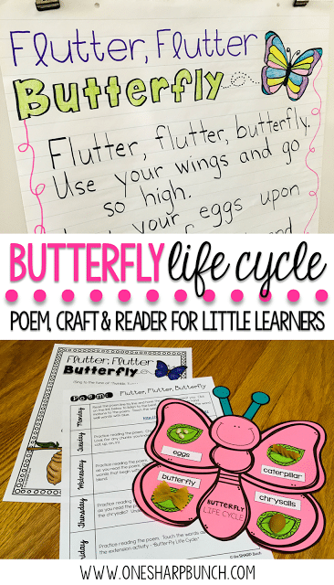 Teach your Kindergarten and primary students all about the life cycle of a butterfly with this butterfly life cycle poem, butterfly craft and FREE butterfly life cycle sequence strips! They are the perfect way to bring a little science into your spring activities!