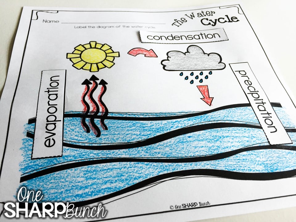 Teach your kindergarten students all about rain and clouds using this water cycle experiment for kids! Perfect for a rainy day this spring, or as a complement to your weather activities! Follow these super simple steps using just water and ice!