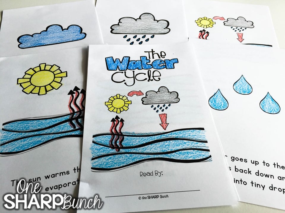 Teach your kindergarten students all about rain and clouds using this water cycle experiment for kids! Perfect for a rainy day this spring, or as a complement to your weather activities! Follow these super simple steps using just water and ice!