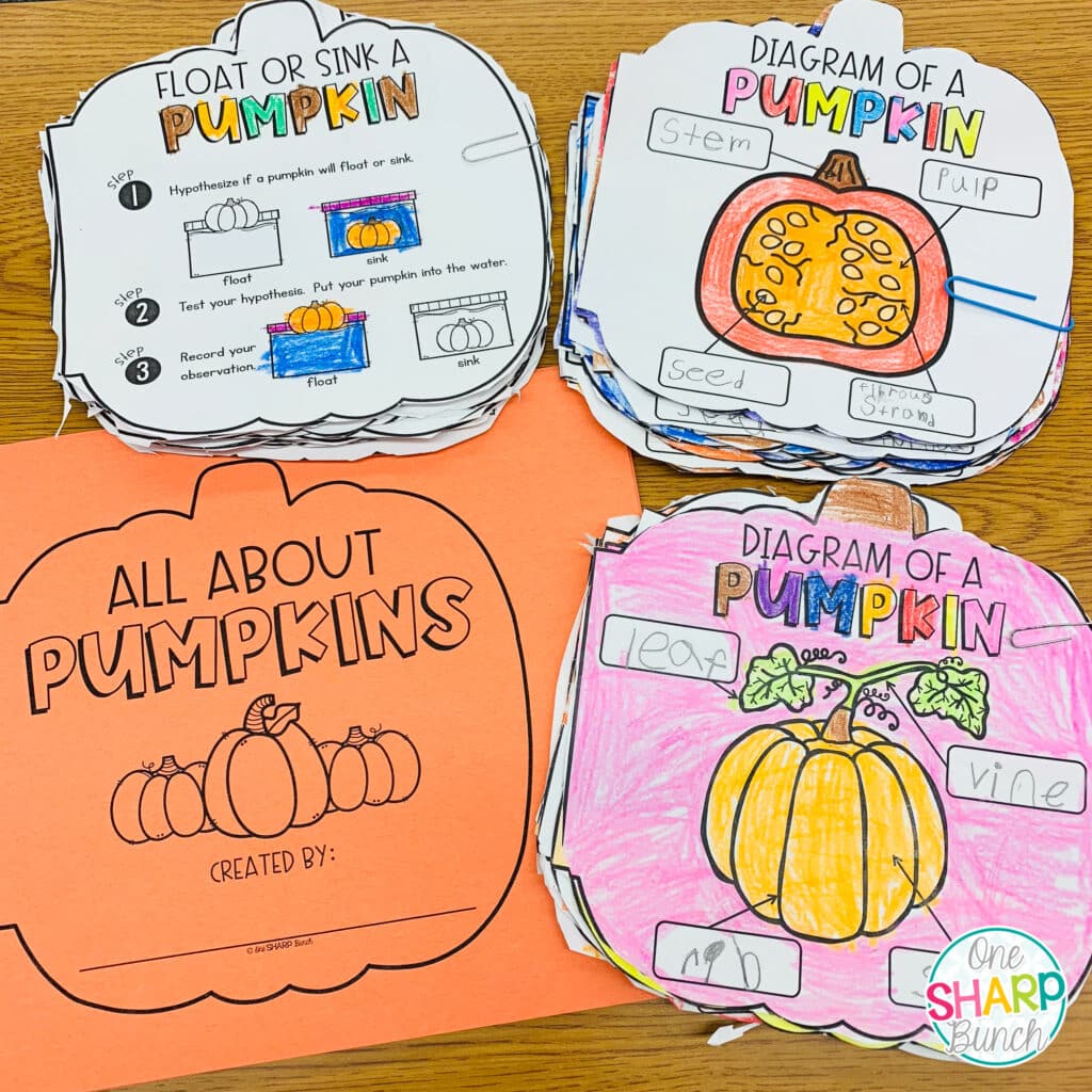Integrate math, literacy, science and social studies into your pumpkin investigation activities this fall or Halloween! Plus, learn about the life cycle of a pumpkin, where in the world a pumpkin grows, the size of a pumpkin, and more with these pumpkin themed activities and pumpkin crafts perfect for preschool, pre k and kindergarten. #pumpkinweek #pumpkininvestigations #pumpkininvestigationactivities #halloween #fall #pumpkins #pumpkinactivities