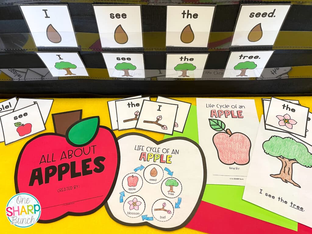 Use these 20 apple investigation activities to integrate literacy, math, science and social studies as you learn all about apples! These simple apple crafts for kids and hands-on apple science experiments will help keep your kindergarten and first grade students engaged. They’ll learn about the life cycle of an apple, seasons of an apple tree, oxidation of an apple and more!