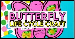 Learning all about butterflies is always a favorite spring life cycle activity for preschool, kindergarten and 1st grade students! This interactive butterfly life cycle craft is perfect for reviewing the stages of the life cycle of a butterfly. Use pasta with the butterfly life cycle printable to help solidify their learning about how butterflies change and grow. Add this butterfly life cycle activity to your spring craft ideas for kids!