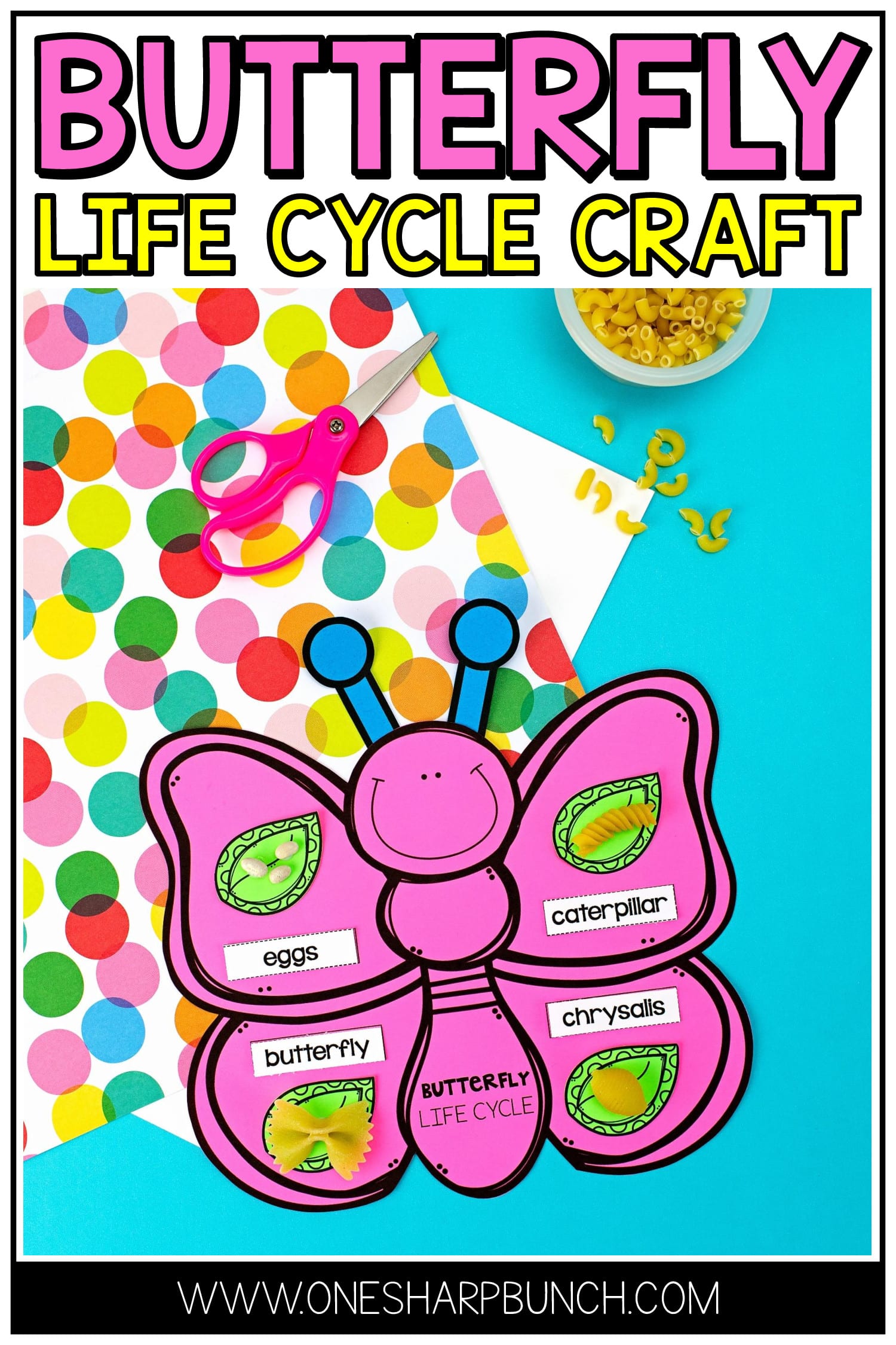 Learning all about butterflies is always a favorite spring life cycle activity for preschool, kindergarten and 1st grade students! This interactive butterfly life cycle craft is perfect for reviewing the stages of the life cycle of a butterfly. Use pasta with the butterfly life cycle printable to help solidify their learning about how butterflies change and grow. Add this butterfly life cycle activity to your spring craft ideas for kids!