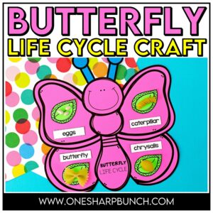 Learning all about butterflies is always a favorite spring life cycle activity for preschool, kindergarten and 1st grade students! This interactive butterfly life cycle craft is perfect for reviewing the stages of the life cycle of a butterfly. Use pasta with the butterfly life cycle printable to help solidify their learning about how butterflies change and grow. Add this butterfly life cycle activity to your spring craft ideas for kids!