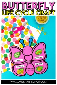 Learning all about butterflies is always a favorite spring life cycle activity for preschool, kindergarten and 1st grade students! This interactive butterfly life cycle craft is perfect for reviewing the stages of the life cycle of a butterfly. Use pasta with the butterfly life cycle printable to help solidify their learning about how butterflies change and grow. Add this butterfly life cycle activity to your spring craft ideas for kids!