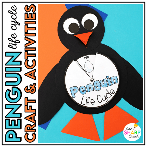 Penguin Life Cycle Craft and Activities