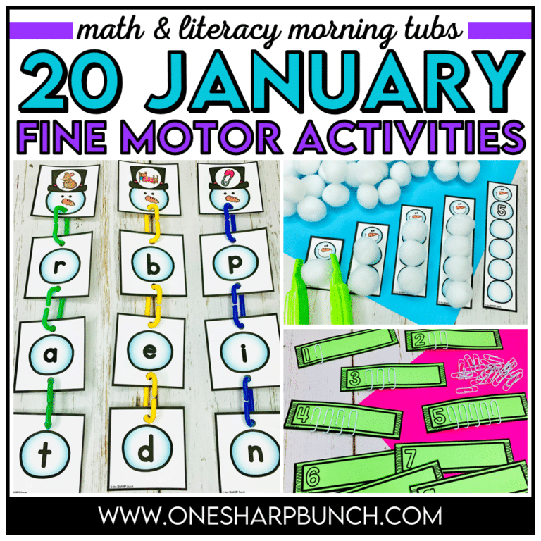 Fine Motor Activities for January Morning Work