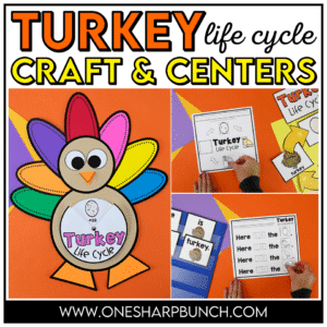 Turkey Life Cycle Craft for Thanksgiving