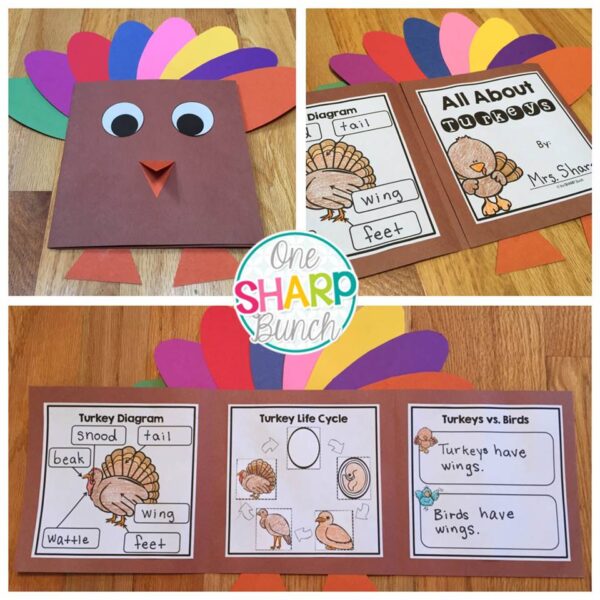 Let's talk turkey with these Thanksgiving activities and Thanksgiving centers! This packet includes 6 math and 6 literacy turkey centers, Thanksgiving writing activities, turkey craft and flap book, and Thanksgiving graphic organizers, and some bonus Thanksgiving activities & Turkey activities!
