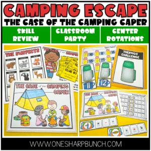 camping theme centers