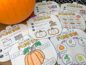 Pumpkin Activities - All About Pumpkins & Pumpkin Investigations