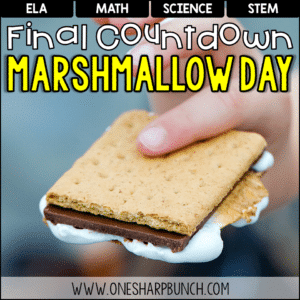 Marshmallow Day Activities for the End of the Year