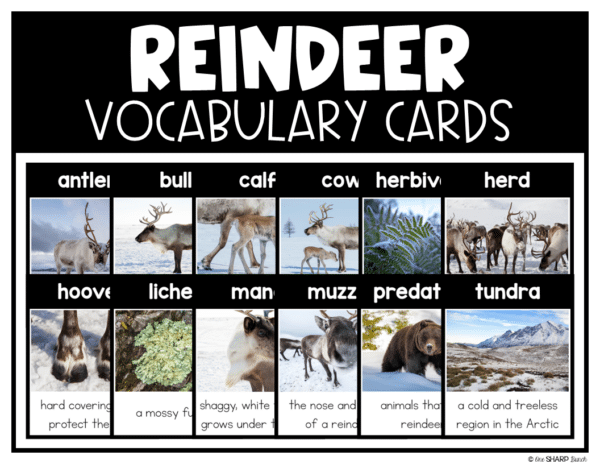 All About Reindeer Activities & Reindeer Craft