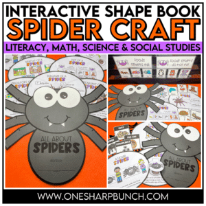 Interactive Spider Craft and Spider Activities for Halloween