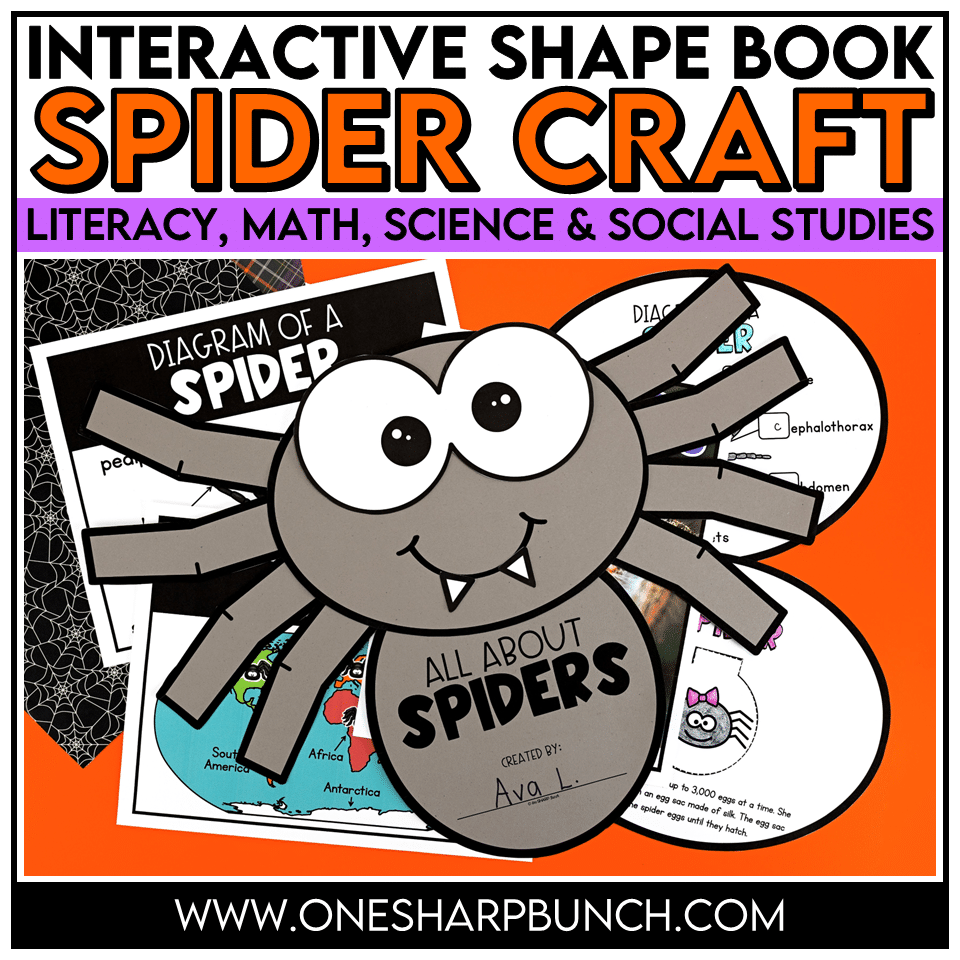 Interactive Spider Craft and Spider Activities for Halloween