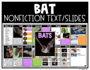 Bat Activities and Bat Craft for Kids
