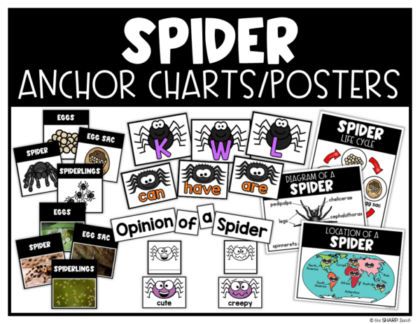 Interactive Spider Craft and Spider Activities for Halloween
