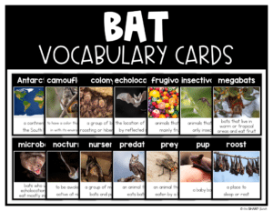 Bat Activities and Bat Craft for Kids