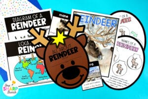 Learn all about reindeer with these 15 interactive reindeer activities and adorable reindeer craft. Integrate literacy, science, social studies, and math into your thematic reindeer unit. These reindeer activities are the perfect addition to your Christmas activities for preschool, kindergarten, and first grade. Students learn about reindeer through a nonfiction text with nonfiction text features. They'll complete math activities and literacy activities, all while making a cute Christmas craft!