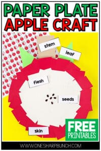 September is the perfect time for apple crafts, apple books and apple activities! This paper plate apple craft for preschool, kindergarten and first grade comes with a free apple labeling printable. Learn all about apples, and then let your students complete this adorable apple paper plate craft. This fall craft allows students to work on fine motor skills, as well as labeling. You can complete this apple activity during your apple investigation week. Grab your free apple label printable now!
