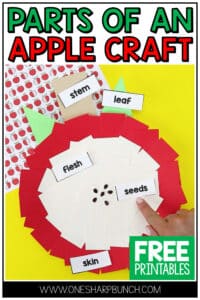 September is the perfect time for apple crafts, apple books and apple activities! This paper plate apple craft for preschool, kindergarten and first grade comes with a free apple labeling printable. Learn all about apples, and then let your students complete this adorable apple paper plate craft. This fall craft allows students to work on fine motor skills, as well as labeling. You can complete this apple activity during your apple investigation week. Grab your free apple label printable now!
