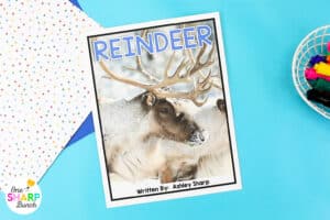 Learn all about reindeer with these 15 interactive reindeer activities and adorable reindeer craft. Integrate literacy, science, social studies, and math into your thematic reindeer unit. These reindeer activities are the perfect addition to your Christmas activities for preschool, kindergarten, and first grade. Students learn about reindeer through a nonfiction text with nonfiction text features. They'll complete math activities and literacy activities, all while making a cute Christmas craft!