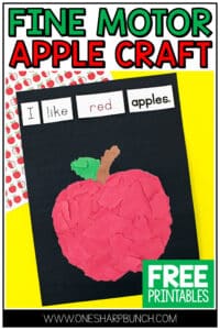 Learn all about apples during apple week! Pair this apple paper craft with your favorite apple books or apple activities during the month of September. This simple apple craft for kids is perfect for the beginning of the school year. Work on fine motor skills, as your preschool and kindergarten students tear and glue pieces of paper. This fall craft makes a perfect apple bulletin board. You can complete this apple craft after your apple investigation!