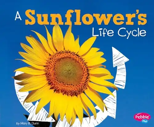 A Sunflower's Life Cycle (Explore Life Cycles)
