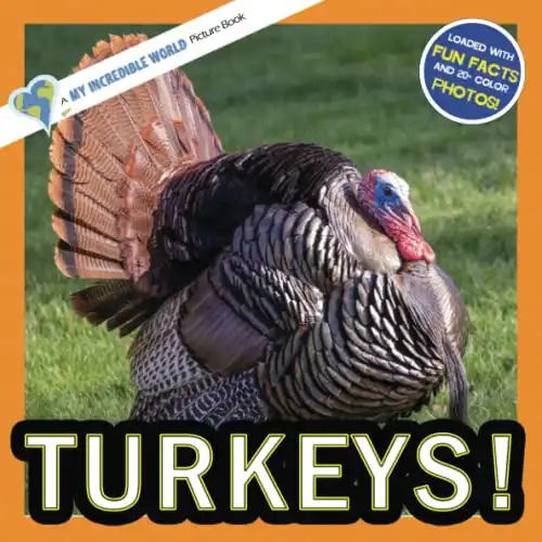 Turkeys!: A My Incredible World Picture Book for Children