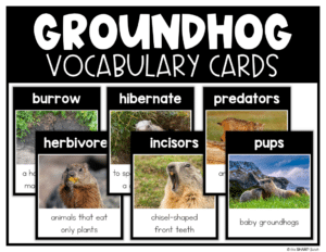Groundhog Day Craft and Groundhog's Day Activities