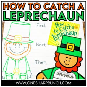 The Best How to Catch a Leprechaun Activities and Craft