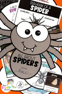 Learn all about spiders as you integrate math, science, literacy, and social studies with these 25 interactive spider activities and spider craft! These spider activities for kindergarten or first grade are a great addition to your Halloween activities and Halloween crafts for kids! Pair these spider activities and spider craft for kids with your favorite spider books for kids. Use the math activities, science activities and literacy activities for whole group or Halloween centers!