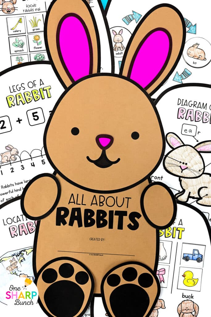 Toddler Rabbit Homework 22 Highly Engaging All About Rabbit Activities for Kids - One Sharp Bunch