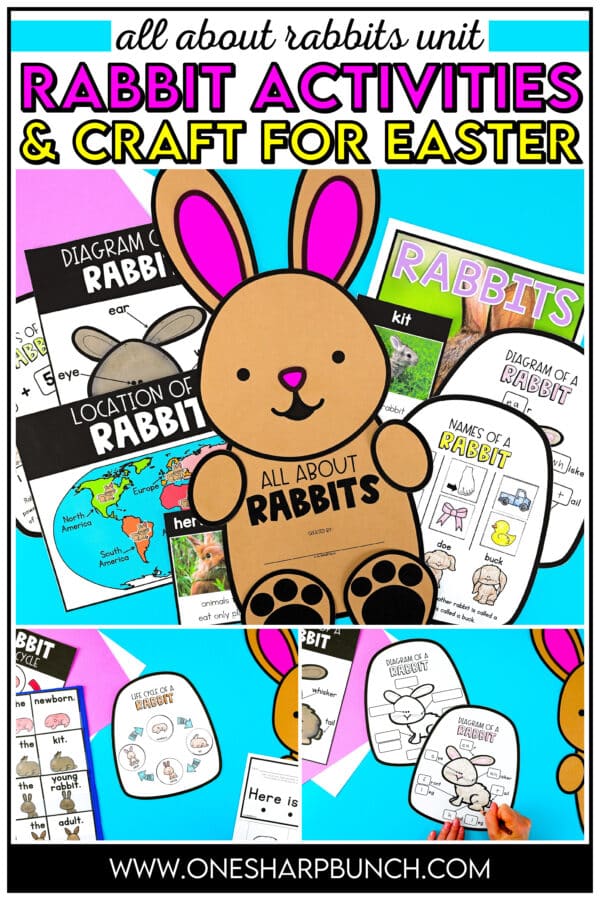 22 Epic All About Rabbit Activities for Kids - One Sharp Bunch
