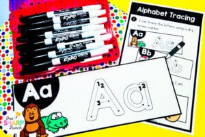 Jumpstart the school year with 20 hands-on kindergarten centers for September—featuring 10 literacy activities and 10 math activities! Not only are these September kindergarten centers great for center rotations, but they're also perfect for morning work and early finishers. Support fine motor skills with these fall centers for kindergarten, including back to school centers and apple centers. Add these kindergarten center activities to your center time, morning tubs, or apple activities!