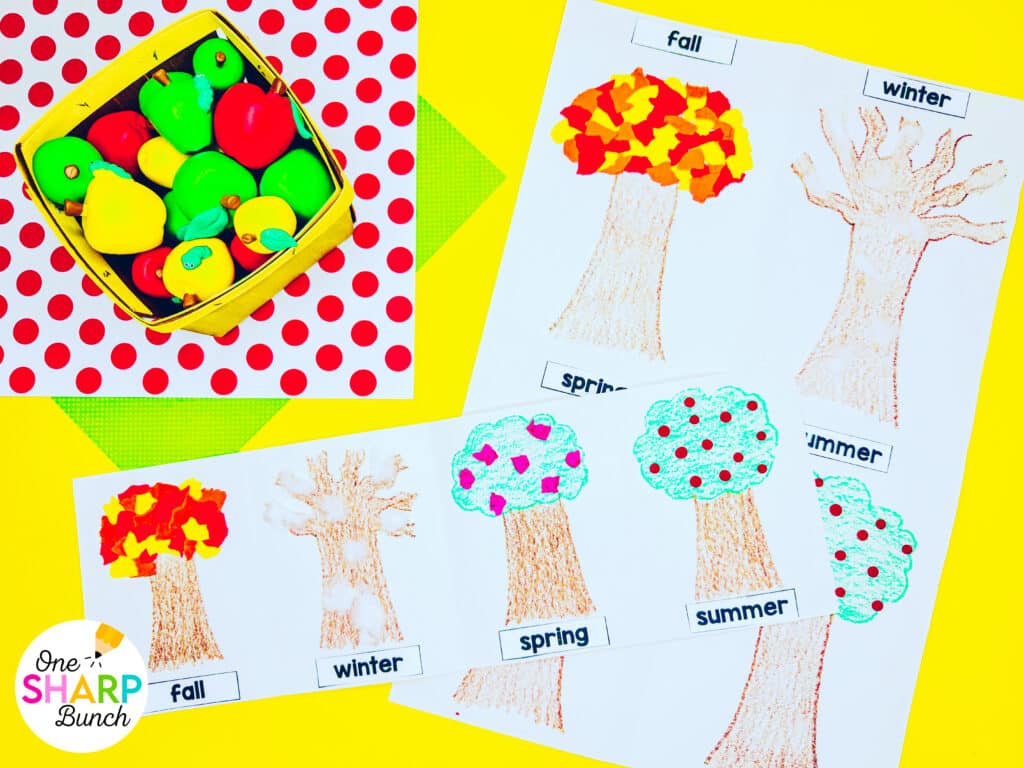 ​​Bring apple week to life with these fun and easy apple crafts for kids! Perfect for preschool and kindergarten, these apple activities teach the apple life cycle, parts of an apple, and seasons of an apple tree! Students complete an apple investigation as the measure the height of an apple, seeds of an apple, and colors of an apple. These apple crafts integrate science, math, and literacy, making them a great addition to your fall lesson plans. Explore the apple crafts and apple activities for kids here!