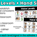 Establish strong routines and procedures from day one with these editable classroom procedures and routines slides! Perfect for back to school and the first week of school, this classroom management resource includes everything you need to explicitly teach classroom rules and expectations, model daily routines, and build student independence. Easily customize the editable slides to match the unique procedures and routines in your classroom!