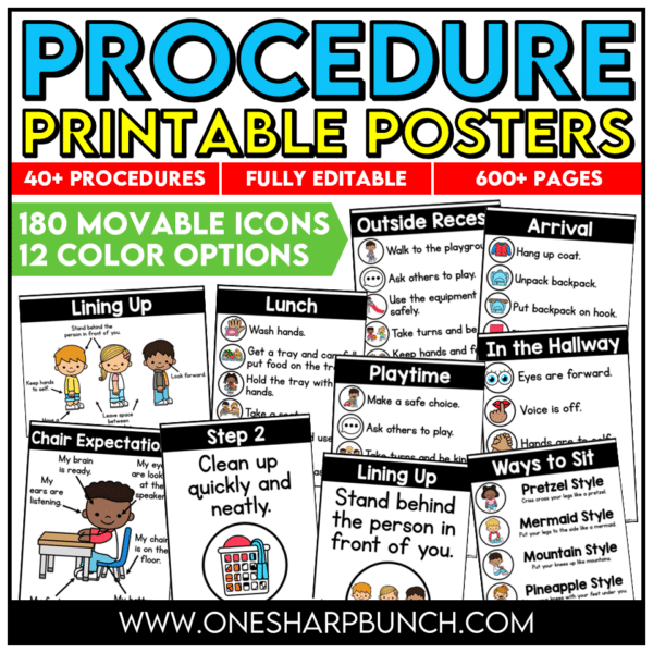 Editable Classroom Procedures, Routines, Rules, and Expectations Posters