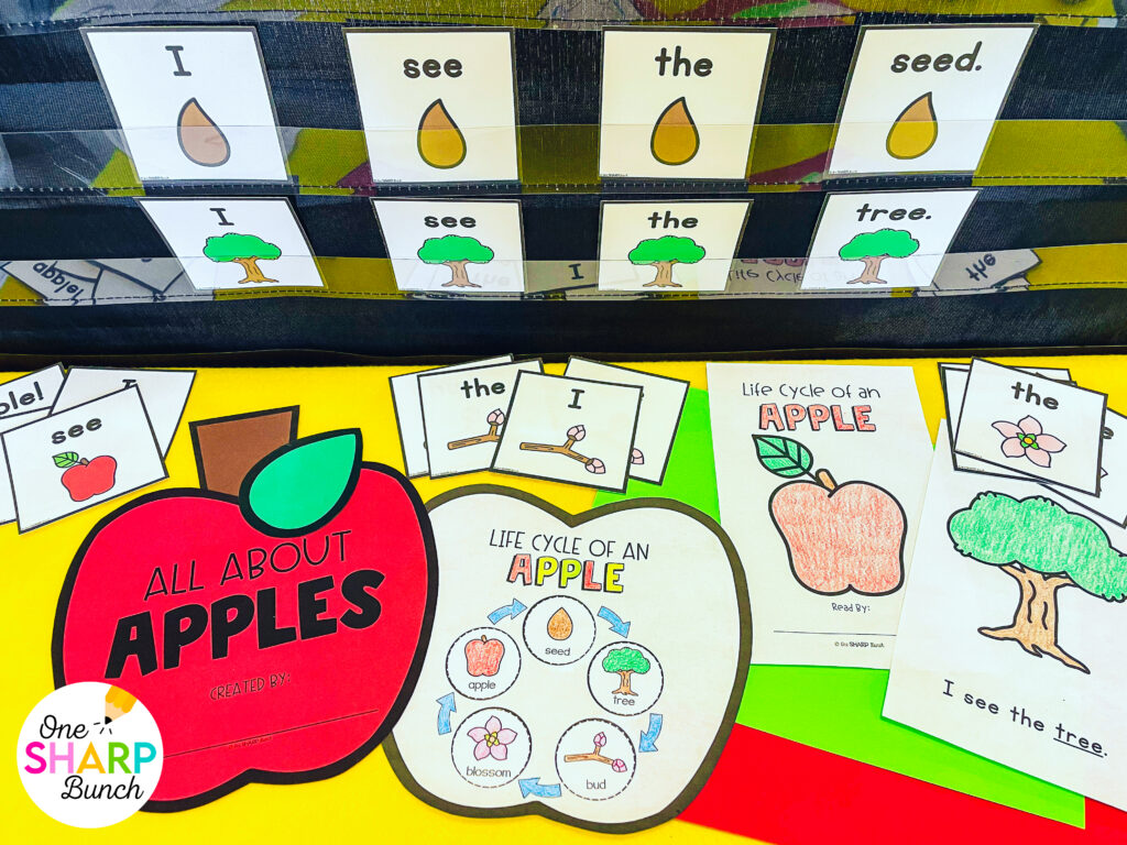 ​​Bring apple week to life with these fun and easy apple crafts for kids! Perfect for preschool and kindergarten, these apple activities teach the apple life cycle, parts of an apple, and seasons of an apple tree! Students complete an apple investigation as the measure the height of an apple, seeds of an apple, and colors of an apple. These apple crafts integrate science, math, and literacy, making them a great addition to your fall lesson plans. Explore the apple crafts and apple activities for kids here!