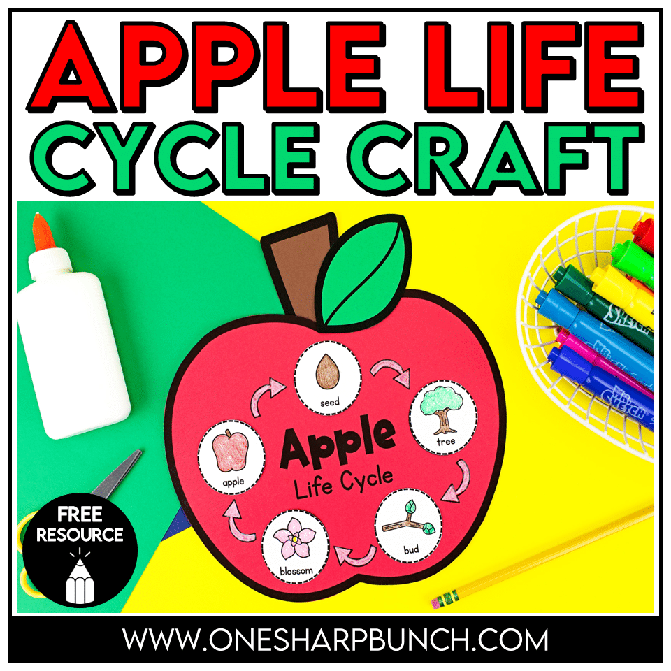 Apple Life Cycle Craft