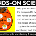 Learn all about the pumpkin life cycle with this simple life cycle of a pumpkin craft! This hands-on pumpkin activity is perfect for preschool, pre-k, and kindergarten students learning about pumpkins during the fall season.