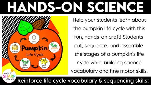 Life Cycle of a Pumpkin Craft Pumpkin Life Cycle Sequencing Craft Learn all about the pumpkin life cycle with this simple life cycle of a pumpkin craft! This hands-on pumpkin activity is perfect for preschool, pre-k, and kindergarten students learning about pumpkins during the fall season.