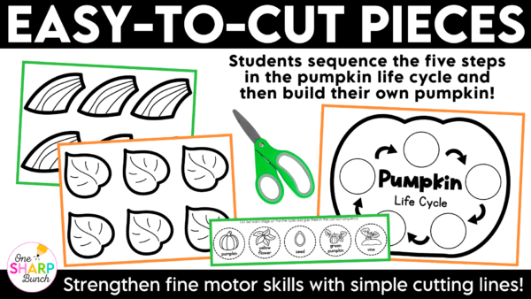 Life Cycle of a Pumpkin Craft Pumpkin Life Cycle Sequencing Craft Learn all about the pumpkin life cycle with this simple life cycle of a pumpkin craft! This hands-on pumpkin activity is perfect for preschool, pre-k, and kindergarten students learning about pumpkins during the fall season.