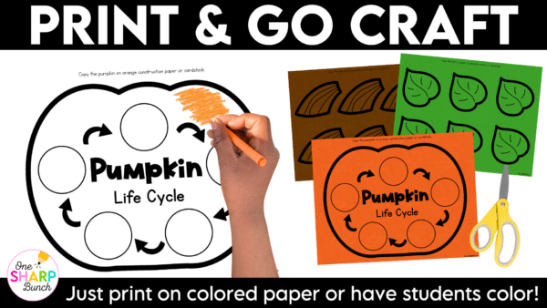 Life Cycle of a Pumpkin Craft Pumpkin Life Cycle Sequencing Craft Learn all about the pumpkin life cycle with this simple life cycle of a pumpkin craft! This hands-on pumpkin activity is perfect for preschool, pre-k, and kindergarten students learning about pumpkins during the fall season.