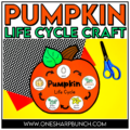 Learn all about the pumpkin life cycle with this simple life cycle of a pumpkin craft! This hands-on pumpkin activity is perfect for preschool, pre-k, and kindergarten students learning about pumpkins during the fall season.